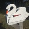 anneswan1